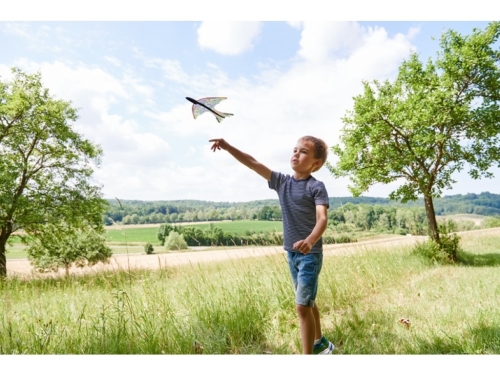 Terra Kids Catapult plane